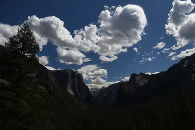 DSC_4307 (Large).JPG